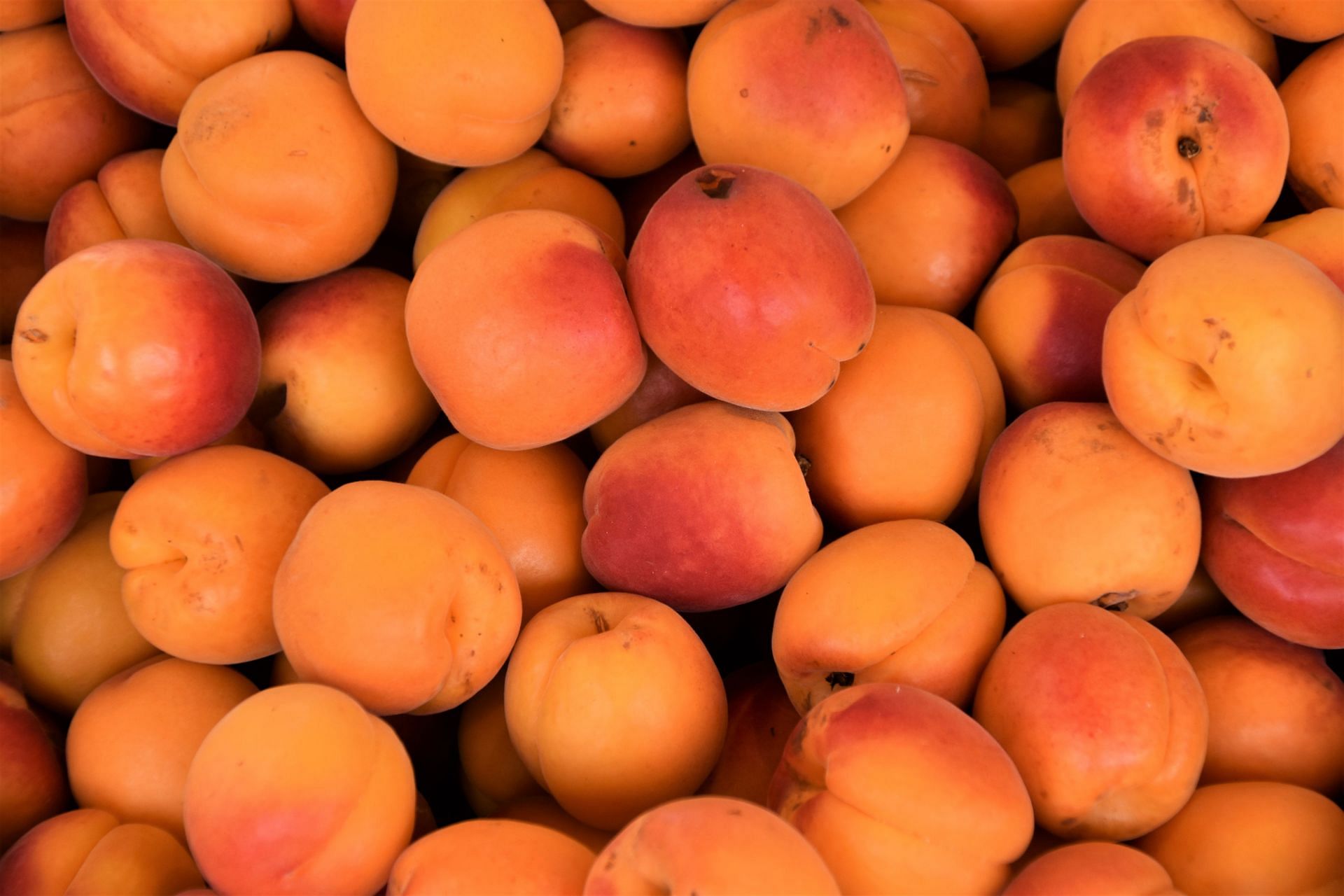 Vitamin A foods (Image via Unsplash/Waldemar)